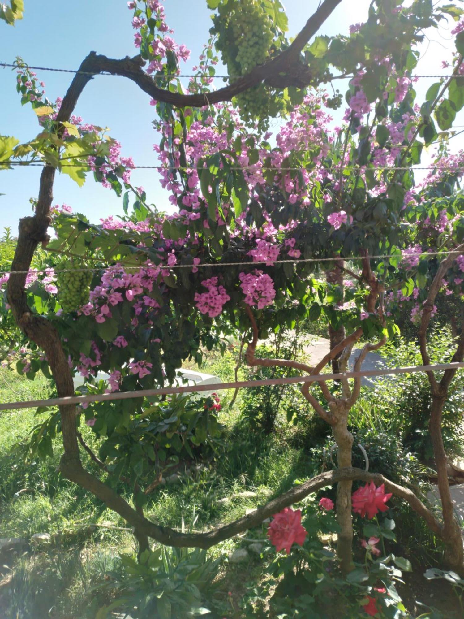 Ribaric Villa Banjol Kültér fotó