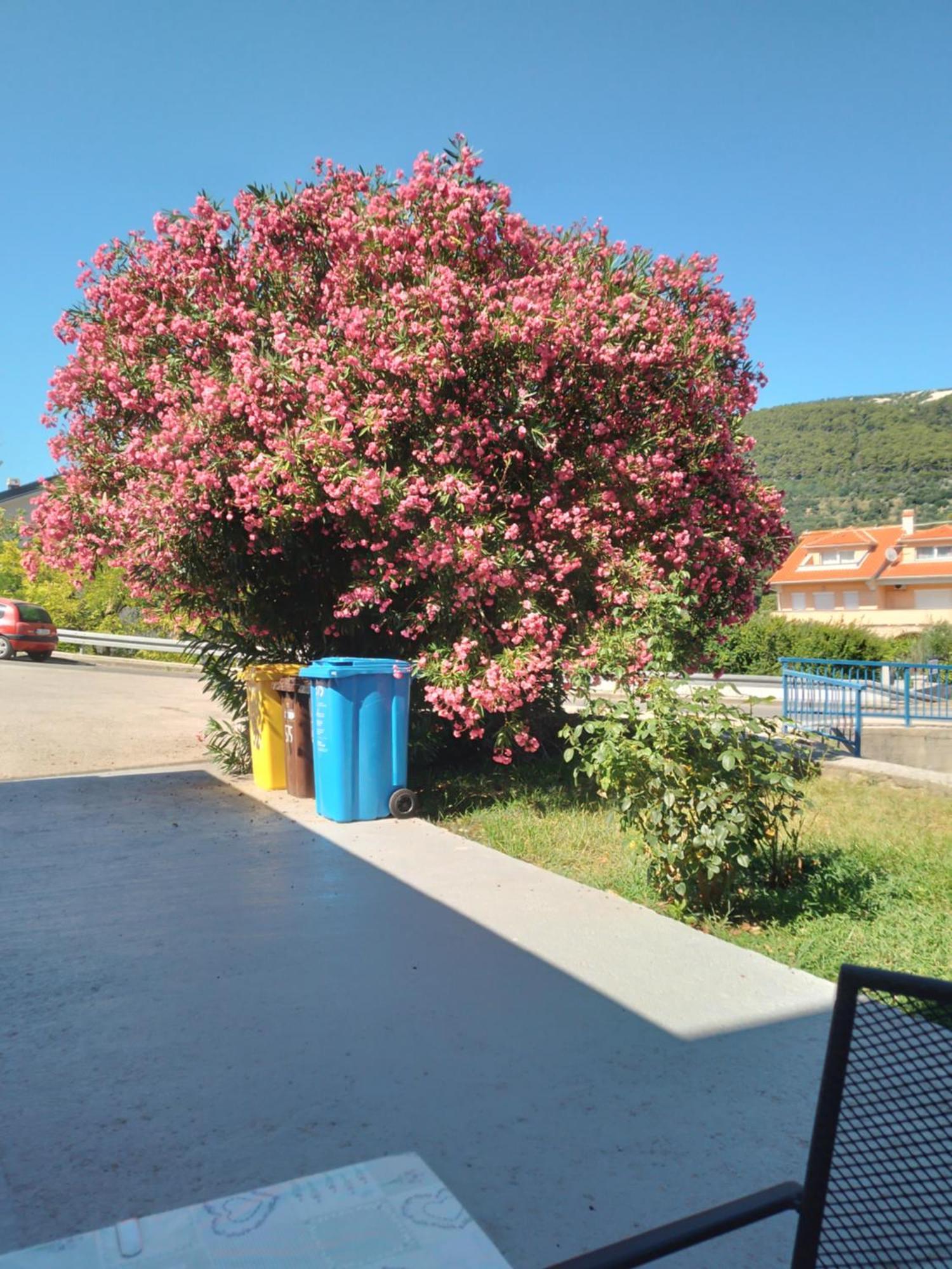 Ribaric Villa Banjol Kültér fotó