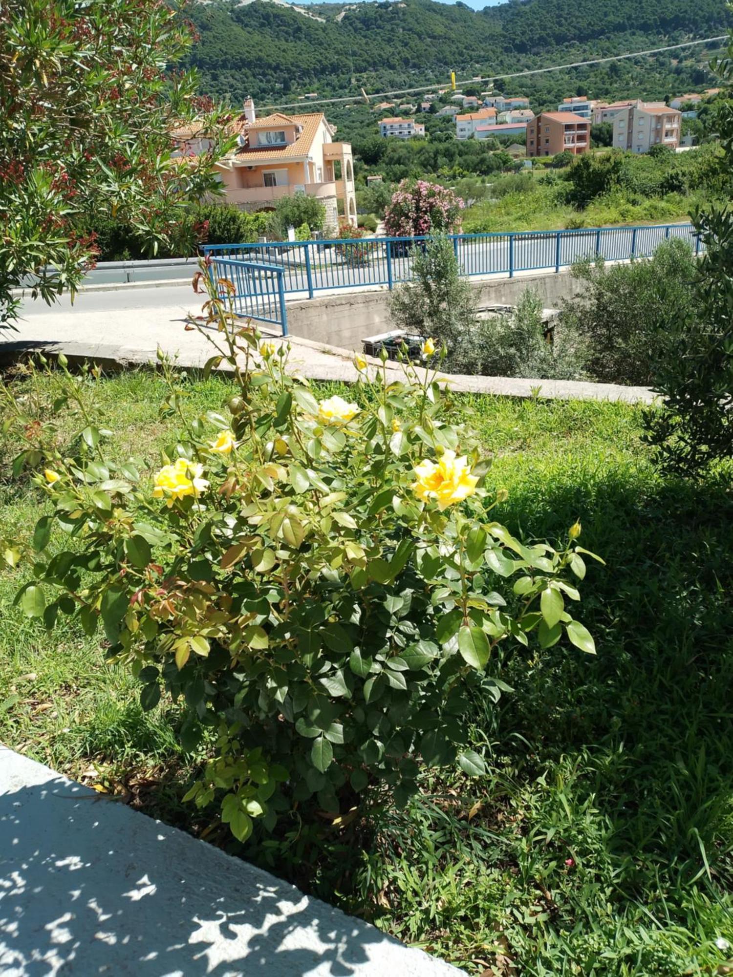 Ribaric Villa Banjol Kültér fotó